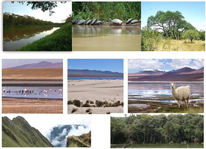 Resource image