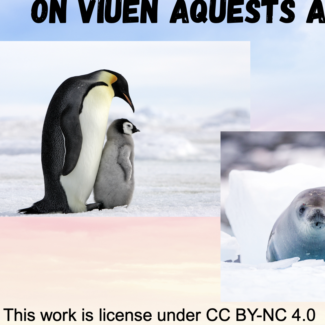 Resource image