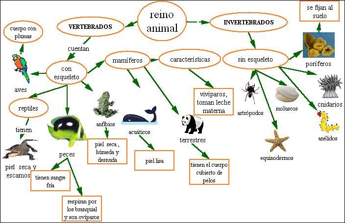 Resource image