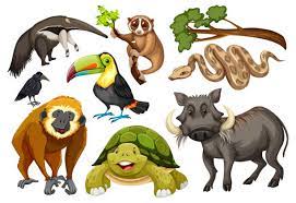 Resource image