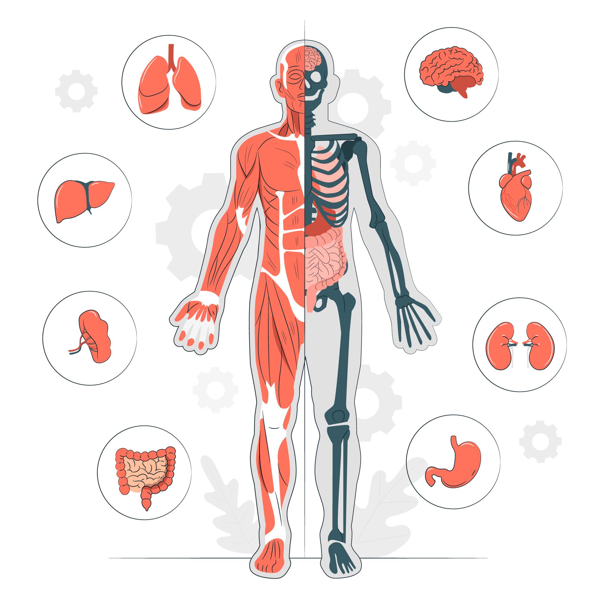 Resource image