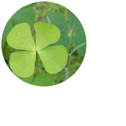 Resource image