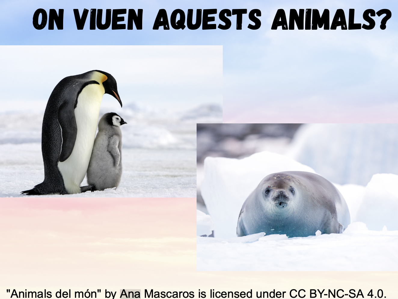 Resource image