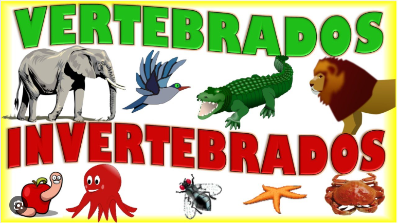 Resource image