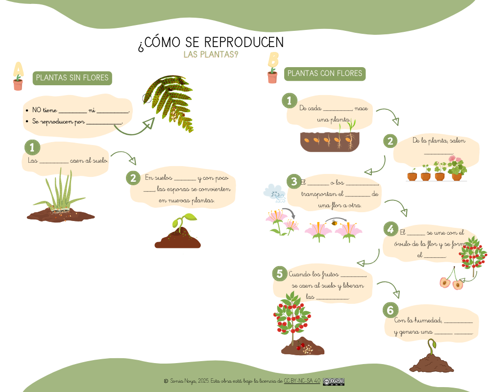Resource image