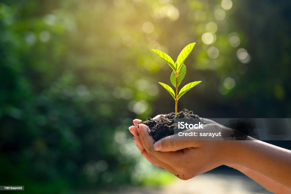 Resource image