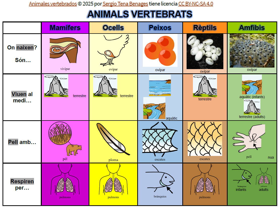 Resource image